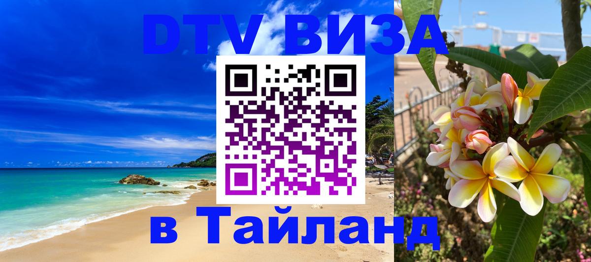 Оформление DTV визы под ключ: стоимость и тарифы, только загранпаспорт - 